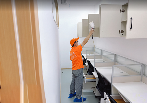 1755855380210733.jpg 1538981519159045.jpg